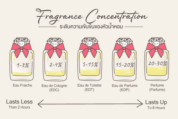 Fragrance Concentration
